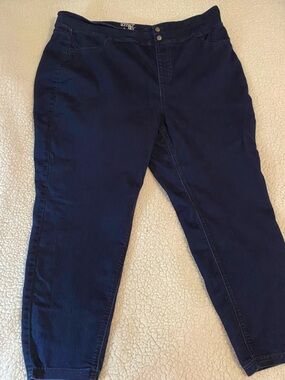 Terra  & Sky Navy Ankle-Length Stretch Jeans 2x